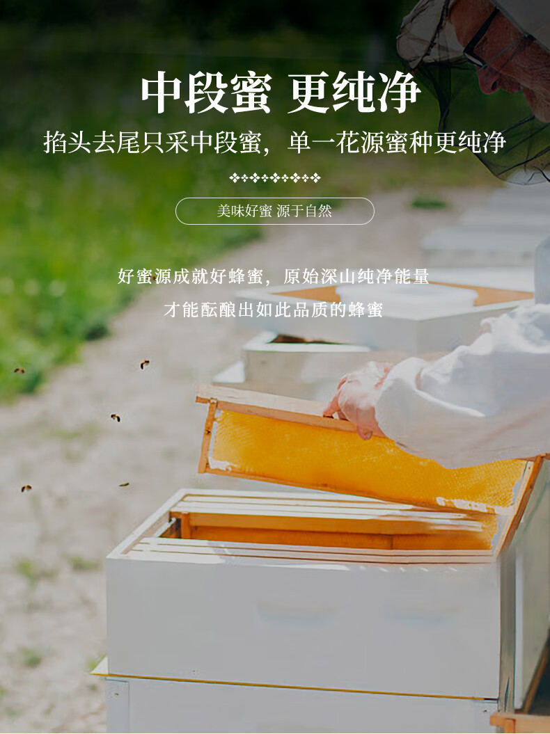 知蜂堂天然枣花蜂蜜中段成熟蜜500g瓶2瓶装