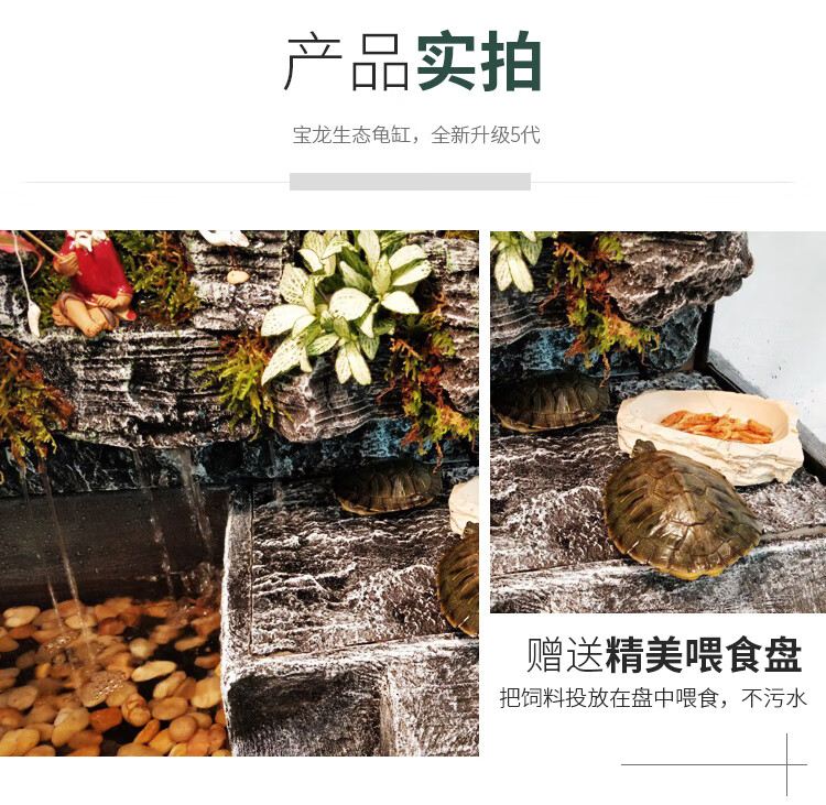 烏龜缸帶曬臺水龜飼養缸草龜缸角蛙水陸缸雨林缸半水龜缸豪華龜缸定製