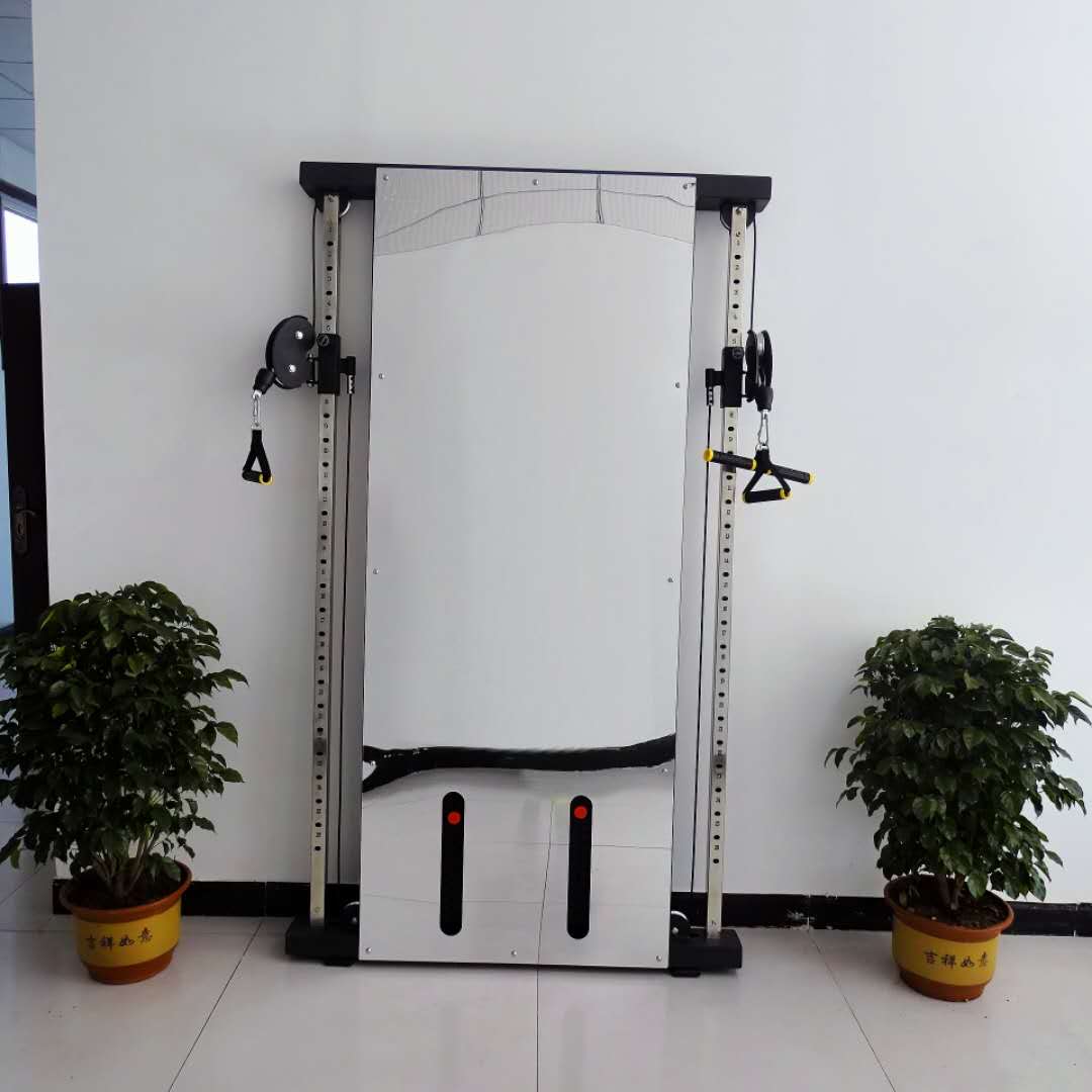 墙体小飞鸟龙门架单边飞鸟贴墙飞鸟力量综合训练器飞鸟架健身家用万魔