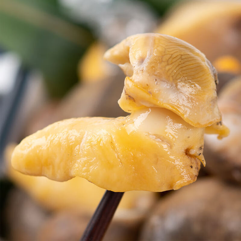 老婆脚海蜗牛鲍螺肉无冰衣无沙鲍鱼螺真空包装发货 一斤 料1袋(带黄)