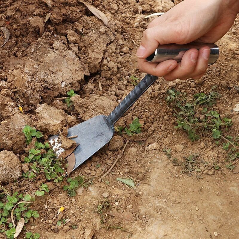 家用挖野菜小铲子挖草药种菜除草挖土菜园花园艺园林用具农用工具6分