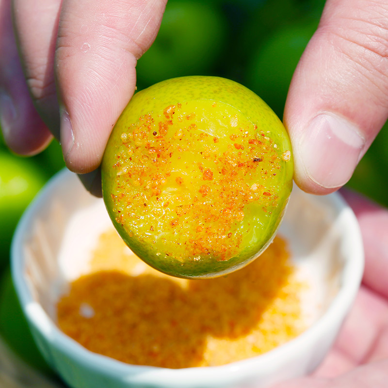 水果珍珠李青李子孕妇吃酸脆当季早熟三华李 500g【送辣椒盐】【图片