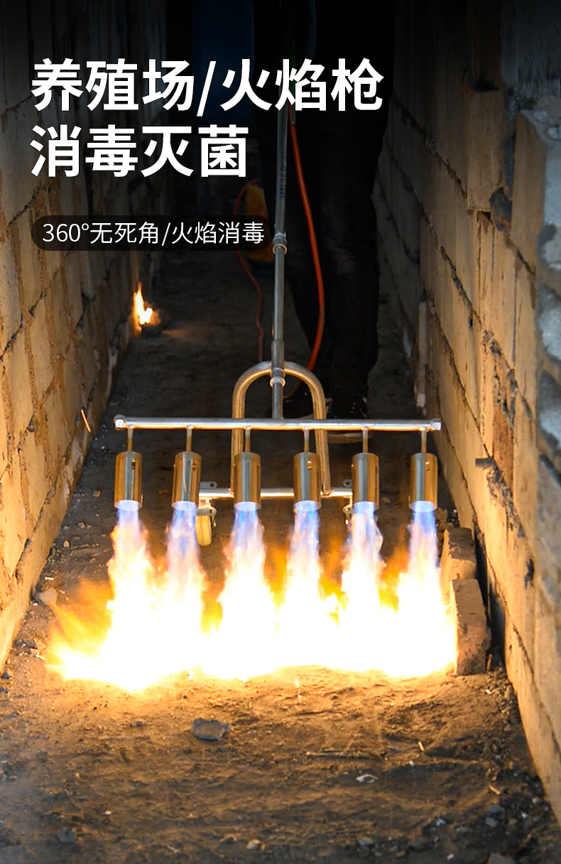 高温消毒火焰枪猪场养殖场喷火枪液化气多头喷枪超高温火枪头 四头多