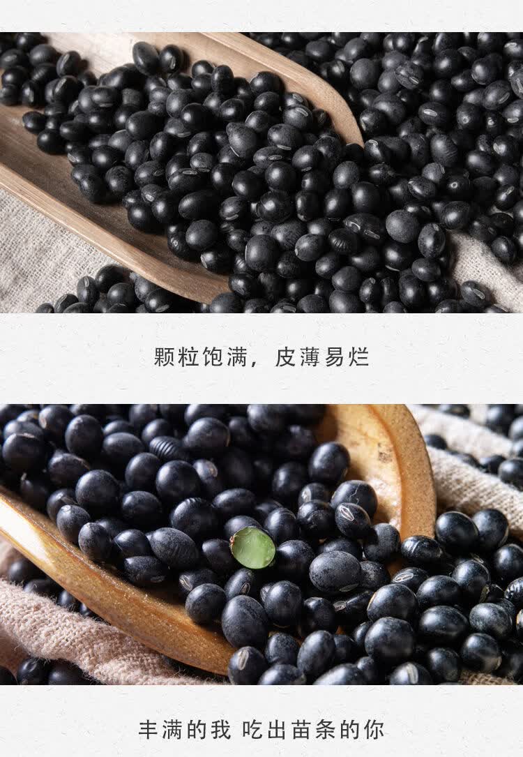东北乌皮青仁绿心小黑豆农家自产五谷杂粮豆浆新黑小豆醋泡芯黑米2500