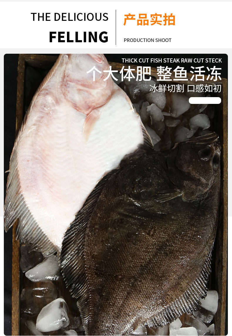 二三王牛青島偏口魚鰈魚整條海魚新鮮深海魚鼓眼魚海鮮批發精品偏口魚