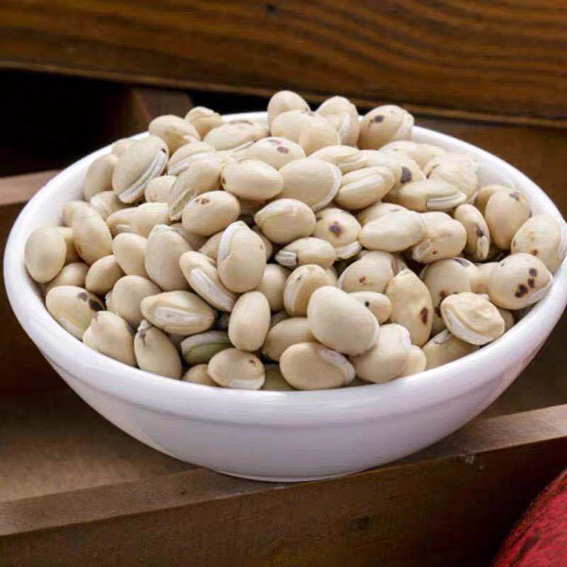 炒白扁豆 中药材 炒熟白扁豆 药用炒扁豆 可磨炒白扁豆粉 500克【图片