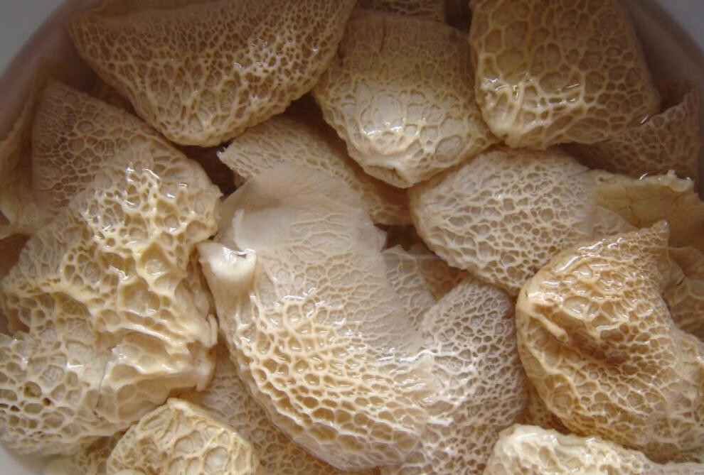 晨臻四川宜宾特产竹毛肚干货竹荪盖素食山珍50g