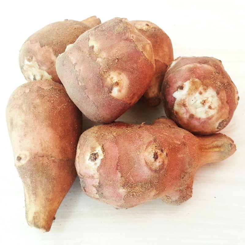 洋姜 菊芋红果皮鬼子姜姜不辣挖伤可做种子种植一件5斤9斤 红皮洋姜 5