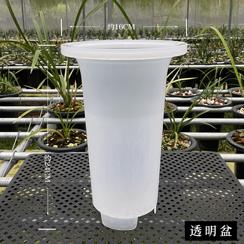 华香园绿植花卉透明兰花专用盆透气兰花盆透明花盆塑料花盆透明盆 套盆10个 图片价格品牌报价 京东