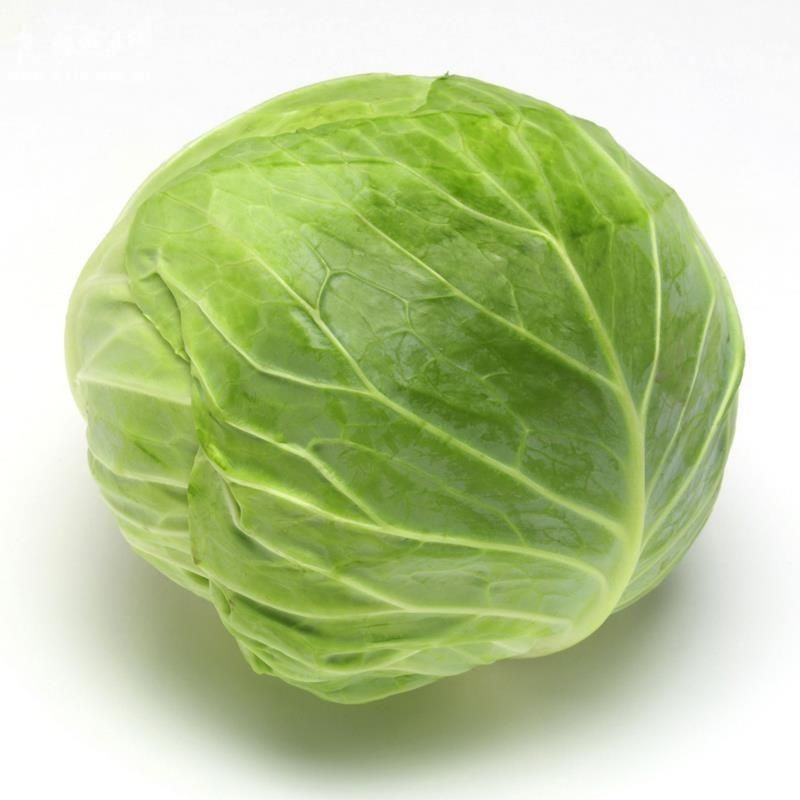 鲜嫩圆白菜永旺绿甘蓝卷心菜圆洋白菜新鲜蔬菜口感脆嫩现砍现优质甘蓝