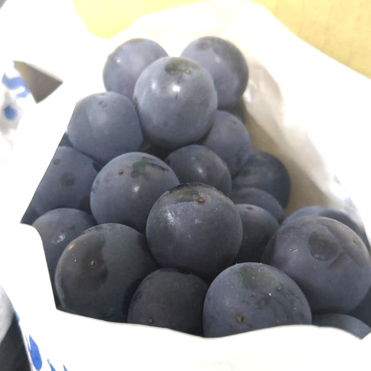 黑藤巨峰葡萄3斤整箱装阳光蜜露新鲜水果户太八号玫瑰提子
 3斤