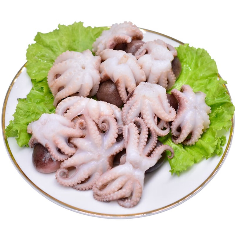 恬女神生鲜小八爪鱼冷冻小章鱼海鲜水产隆云八抓鱼火锅烧烤食材5斤