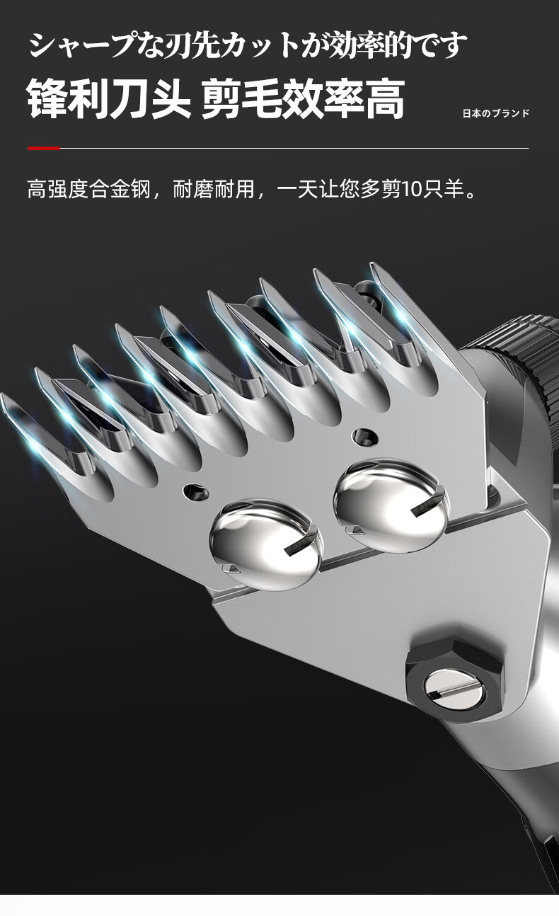 555b32e82b1842fc.jpg