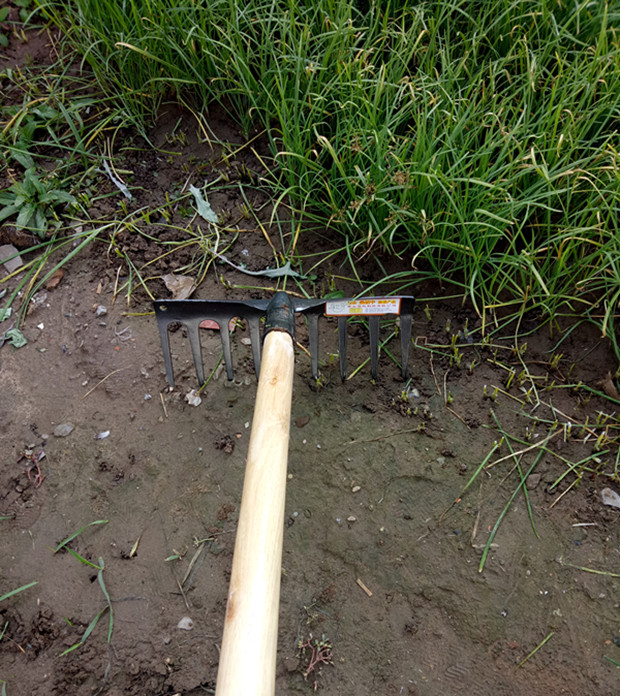 钉耙农具种菜松土大钉耙铁耙子草落叶耙园艺工具9齿钉耙农用赶海 平式