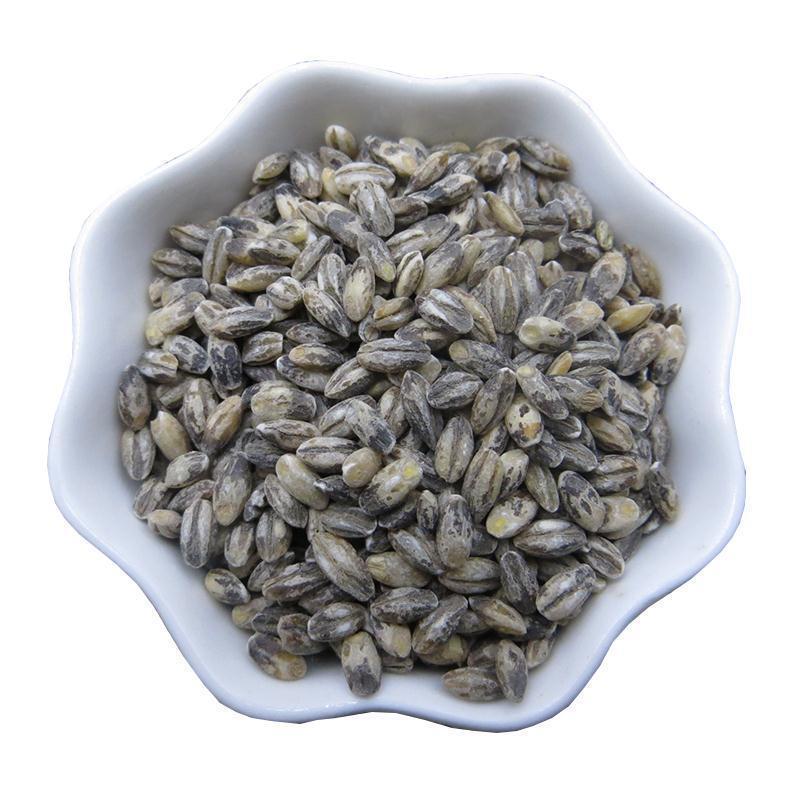 青海新米黑青稞米蓝青稞米白青稞米5斤麦仁青藏高原谷物杂粮米5斤三色