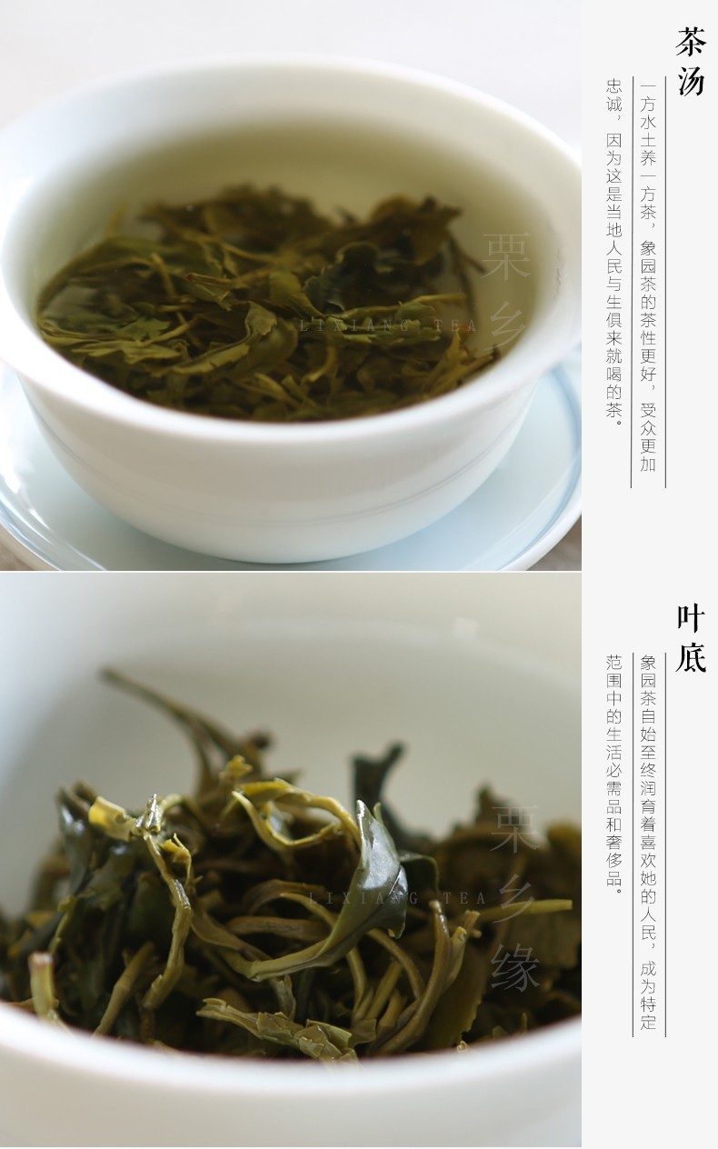 有机绿茶250g象园茶毛尖雾芽茶叶新茶春茶炒青礼盒毛尖250g