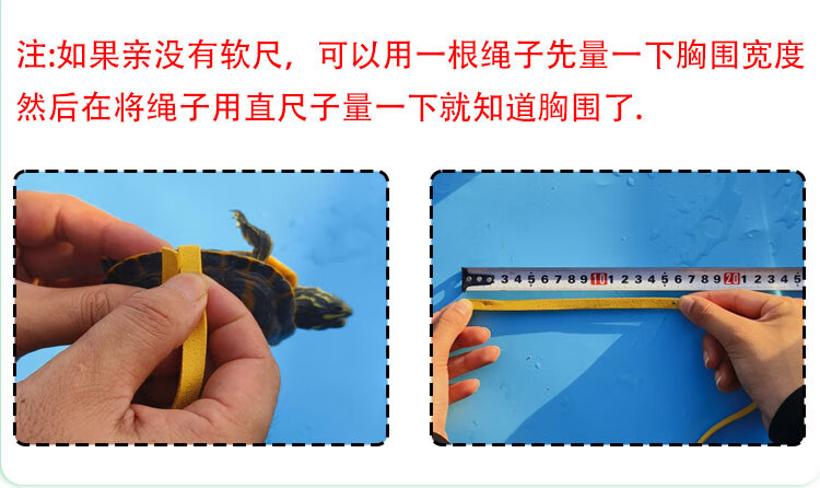 4a50153958c1cd61.jpg