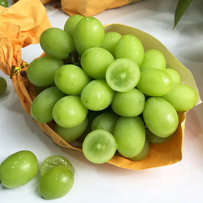 晴王阳光玫瑰葡萄新鲜水果无籽整箱香印青提当季孕妇 颗粒装【精选单