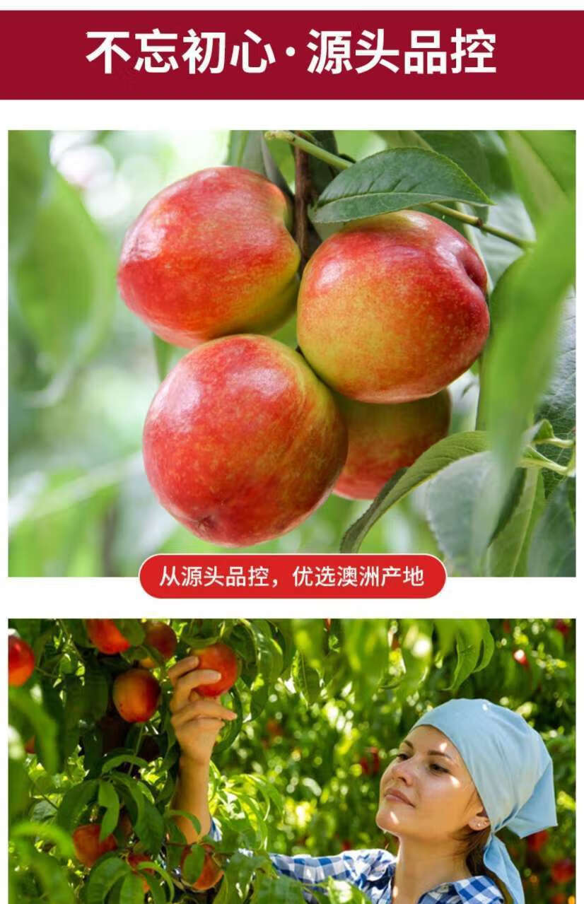 进口鲜果澳洲油桃新鲜桃驳李大果油桃新鲜脆甜水果整箱顺丰3斤a级果王