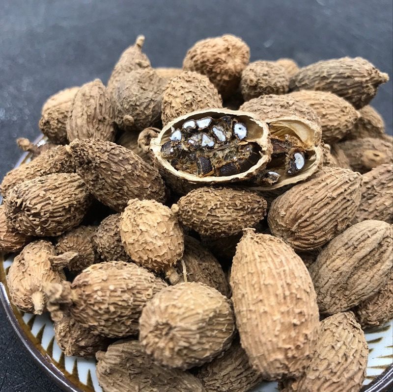 【官方旗舰】 砂仁 中药材砂仁 西砂仁 壳砂仁 野生春砂仁 多种规格sn