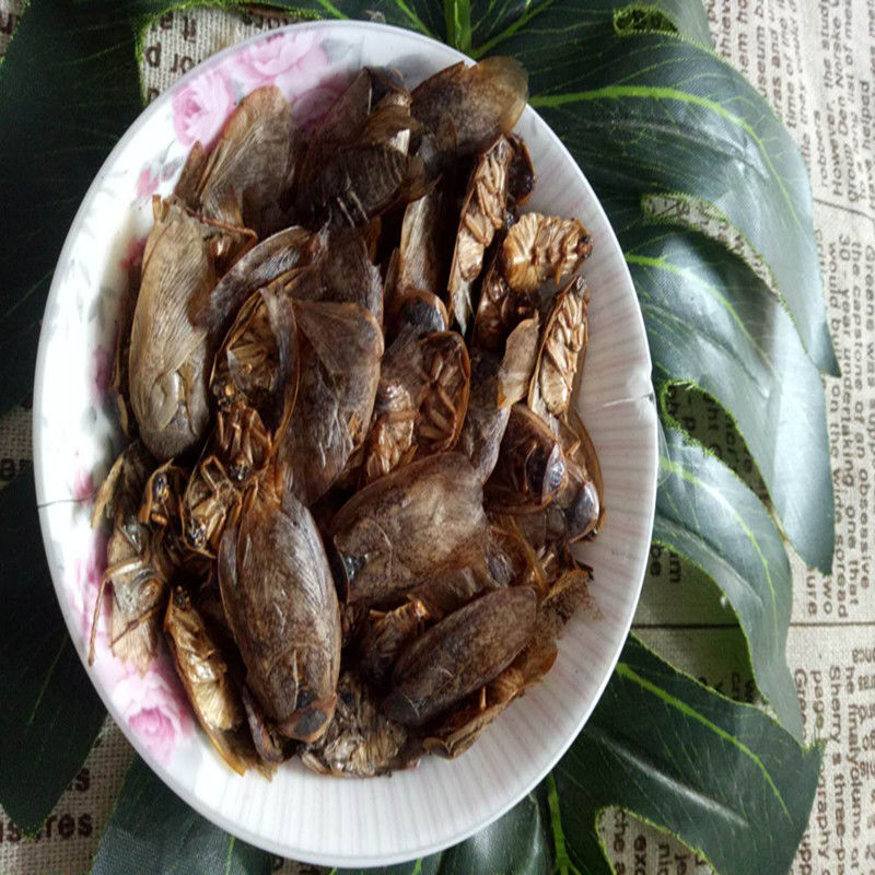 膀土鳖虫 地鳖虫 蛰虫干货250g500g 1000克【图片 价格 品牌 报价】