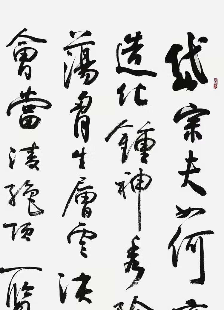 菲灿名家字画孙晓云书法作品国画纯手绘四尺草书毛笔办公室书房装饰画