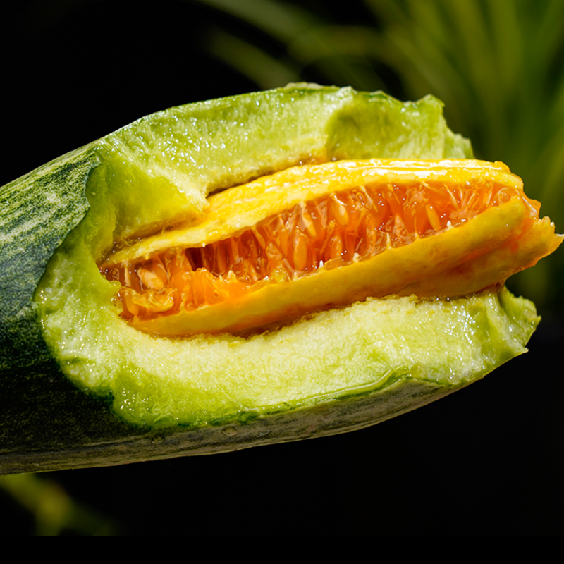 海南羊角蜜甜瓜新鲜水果5斤脆甜蜜瓜香瓜羊角脆整箱 中果【图片 价格