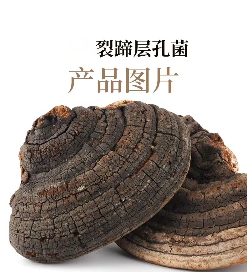 仟农仟滋裂蹄灵芝林下灵芝裂蹄层长白山裂蹄层孔菌可切片裂蹄灵芝500g