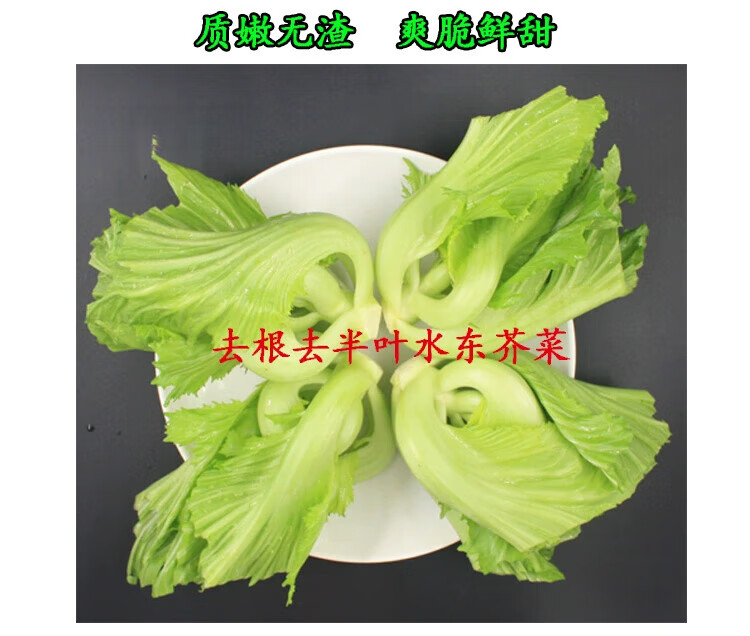 413ab388a403d187.jpg