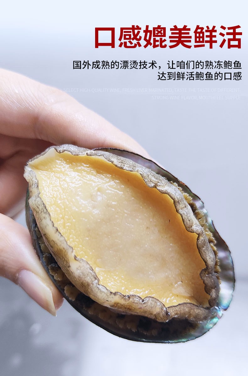 乐鲟汇生鲜大鲍鱼新西兰黑金鲍澳洲青边鲍鱼黑边鲍海鲜水产鲜活冷冻