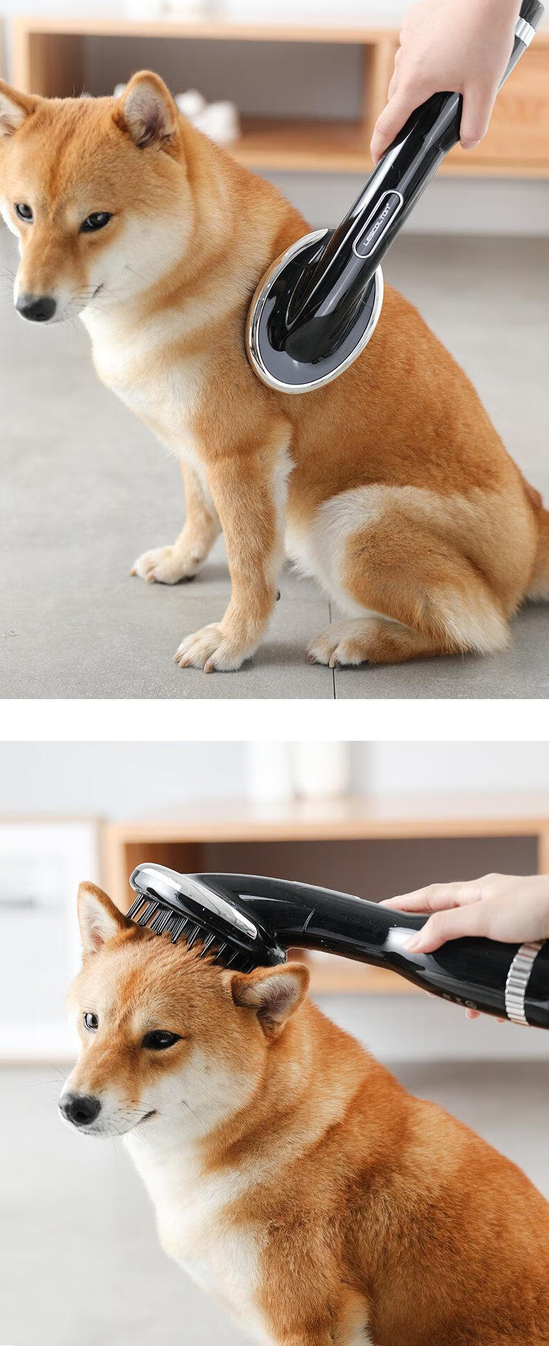 宠物吹风机狗狗吹干拉毛泰迪吹毛神器小型烘干猫咪专用大功率静音