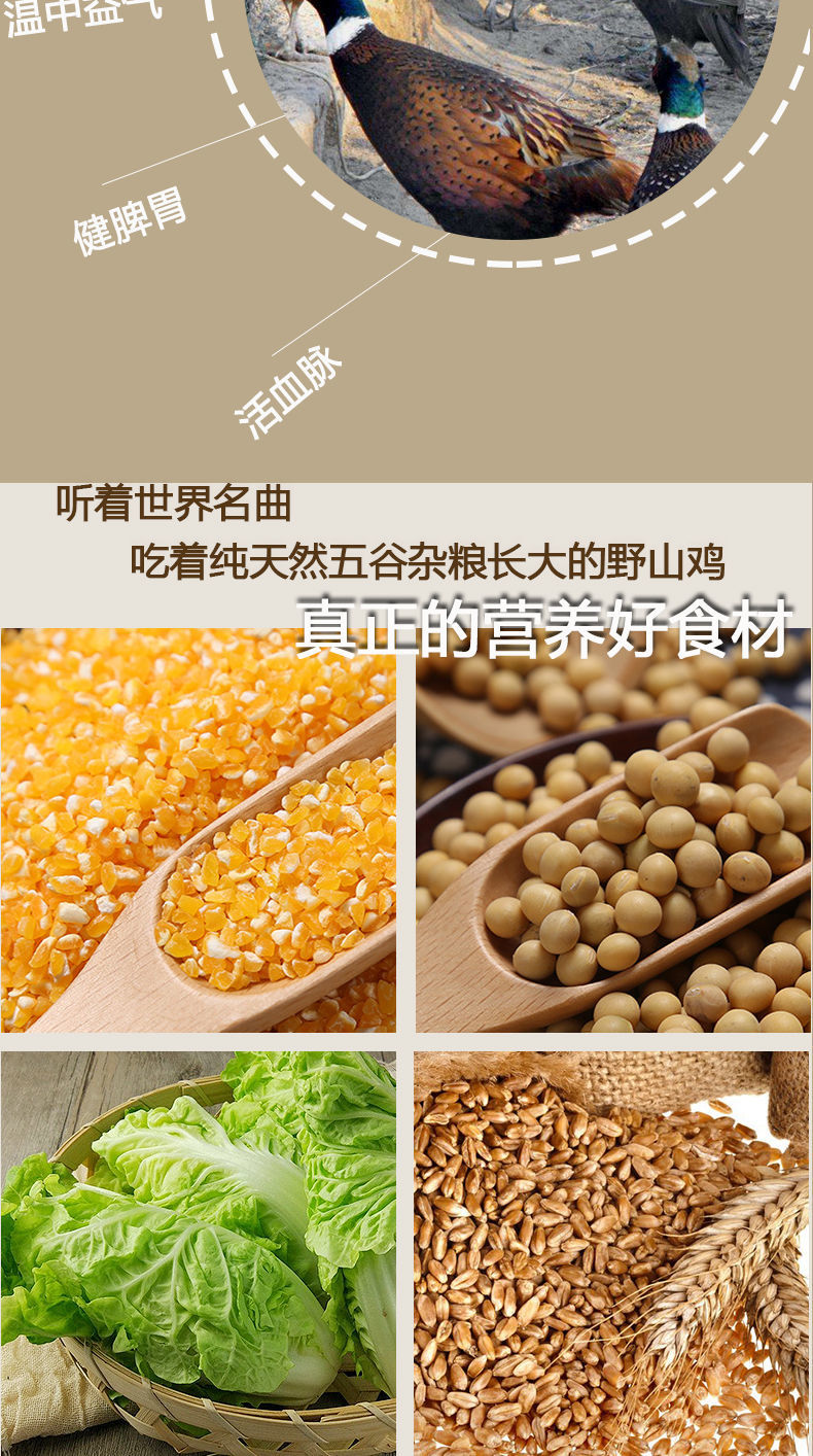 439b024049a3c7c7.jpg