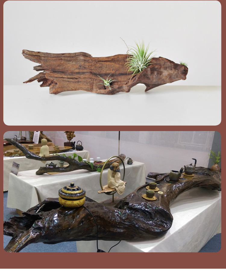 鱼缸沉木造景枯木头大小号树栖根杜鹃根木水草缸莫斯树森林微景观西瓜