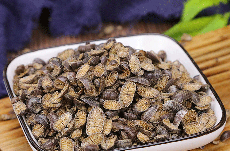 佗迎堂 正宗鼠妇虫500g特级中药材正宗潮虫地虱鼠负鼠姑湿生虫团子虫