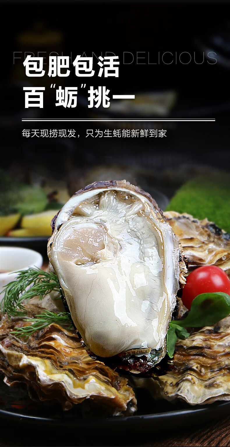 乳山生蚝鲜活新鲜海蛎子5斤特大海鲜牡蛎肉刺身即食水产xxxxl190g及