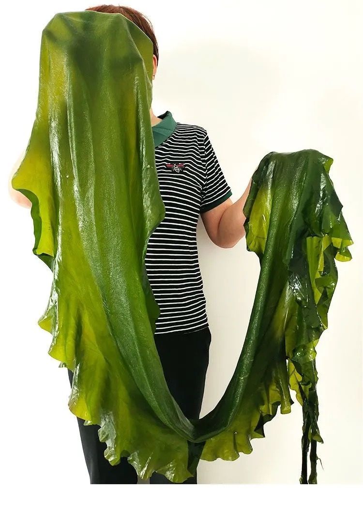 海带整颗裙带菜海带丝海白菜海带结海带头火锅配菜凉拌菜咸菜海带整颗