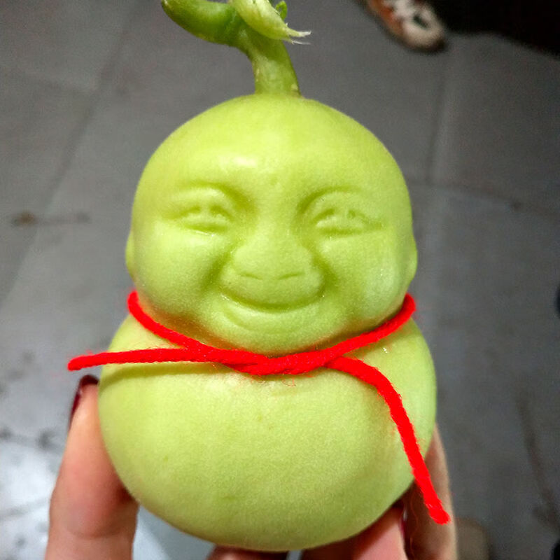 早告白 【速发】人参果水果人形福娃甜瓜制作娃娃贡果礼品非云南礼品