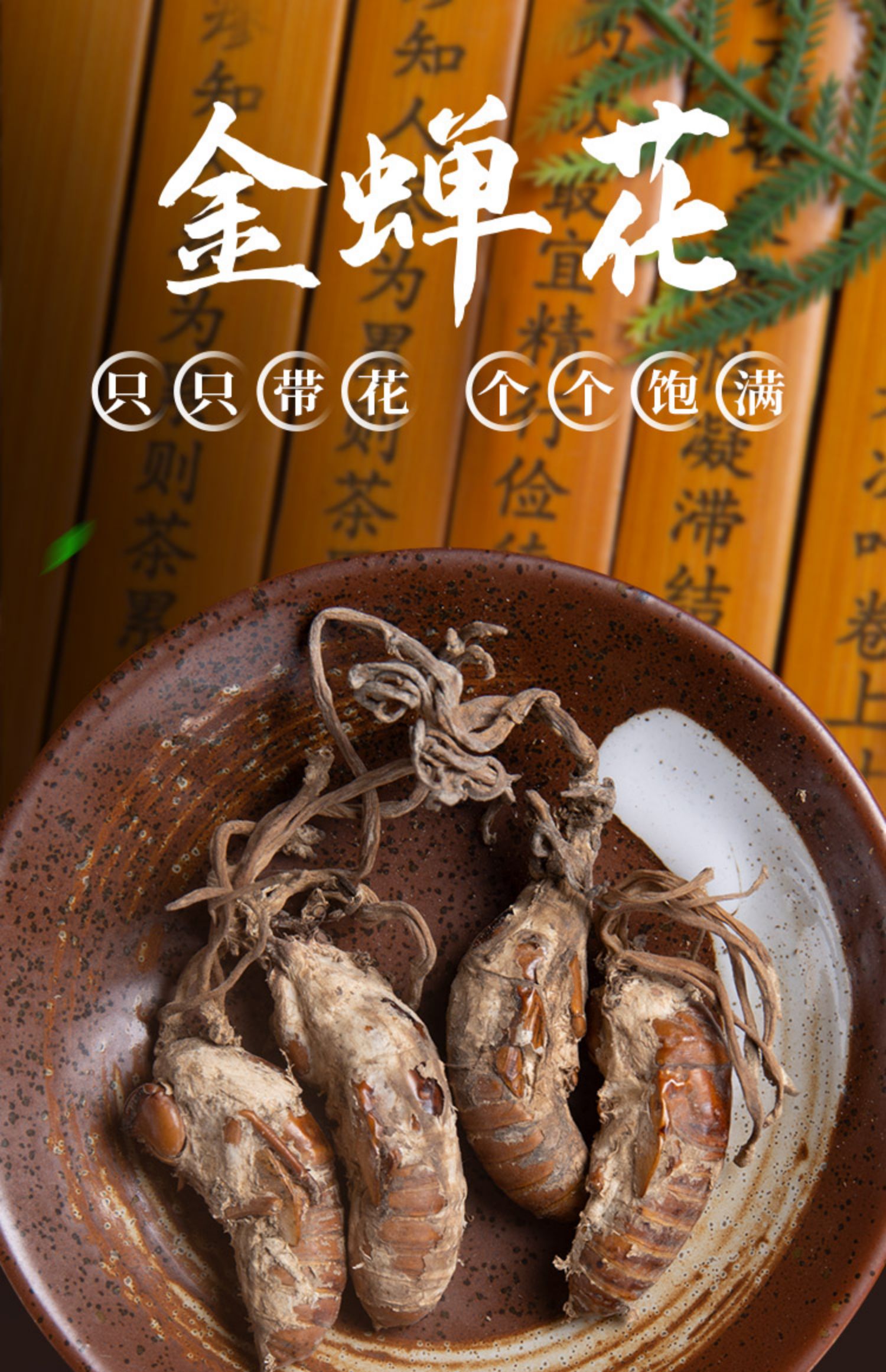 寻百草2021新货金蝉花野生大虫草知了蝉花孢子粉草药材100g非500g