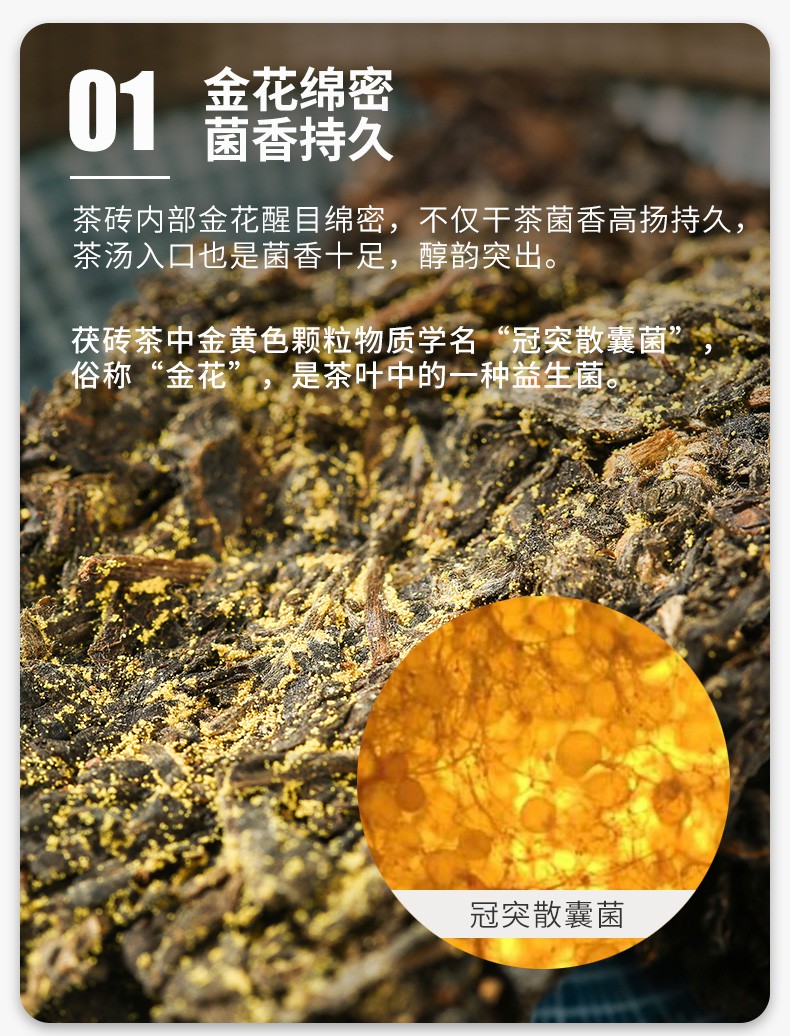 京咚物流茶葉安化黑茶金花mm手築茯磚360g