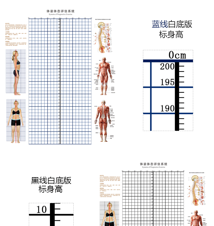 体态评估表健身房瑜伽私教身体评估图人体站姿态分析壁画体位体测此