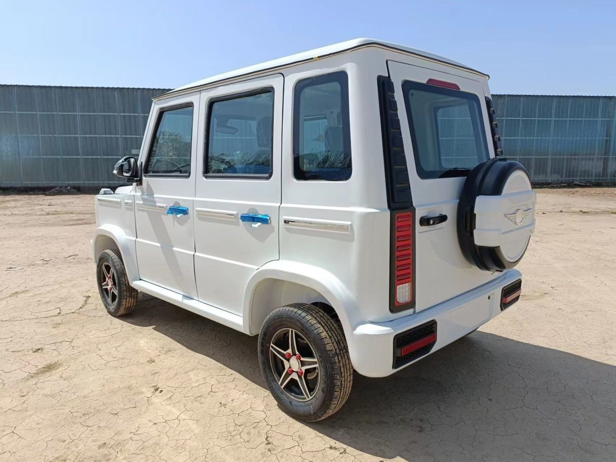 中老年代步电动车 奔驰大g四轮全封闭电动车成人家用锂电瓶油电两用