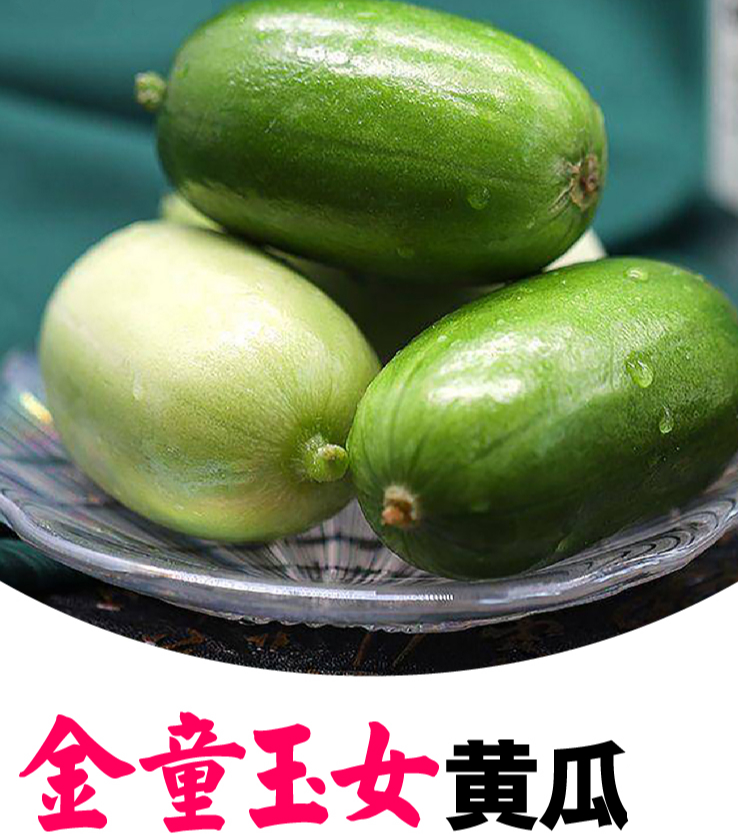 寿光金童玉女拇指小水果黄瓜小黄瓜春秋5斤