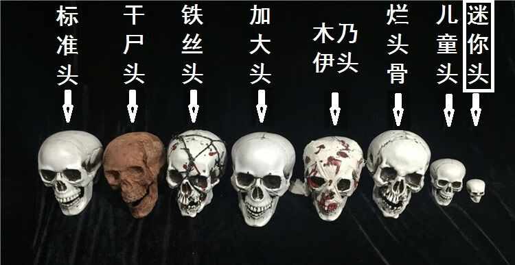 玩具模型道具鬼屋酒吧恐怖吸血鬼整蛊人密室骷髅北极象标准头骨1只装