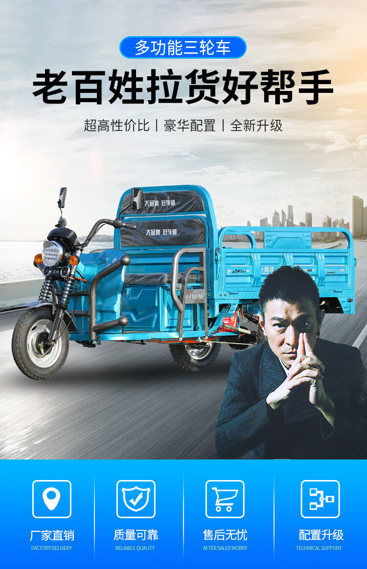 田洋电瓶成人代步货车载重王快递电瓶车家用拉货农用电动三轮车 1.