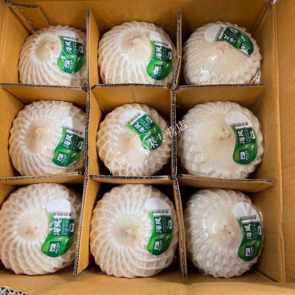泰国海风椰青水果码头香椰整箱9个新鲜椰子天然饮料【配开椰器吸管】