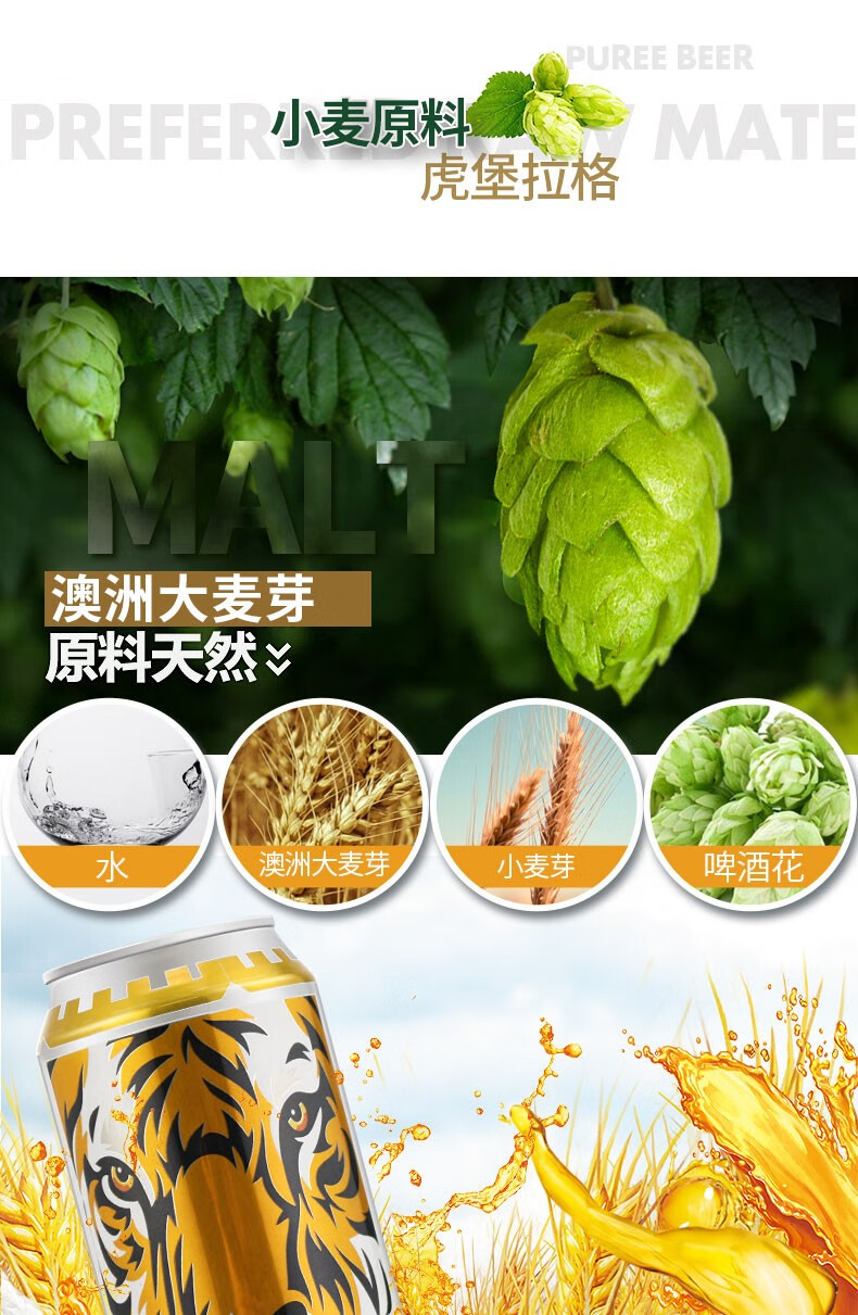 德国工艺虎堡拉格精酿小麦啤酒黄啤德国风味大罐听装啤酒冰爽清爽口感