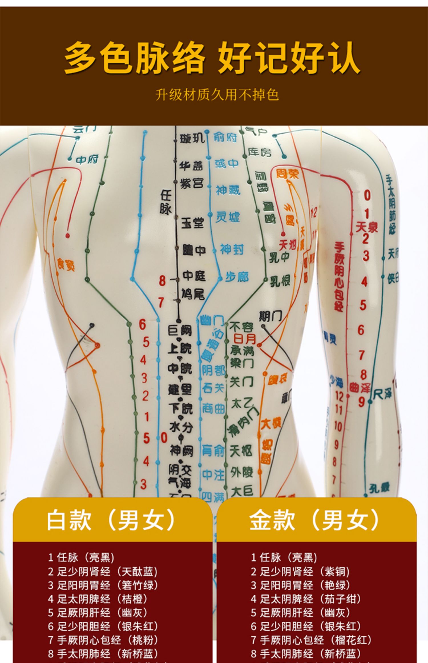 京健康医学人体模型中医针灸穴位人偶全身十二经络图扎针练习小皮人