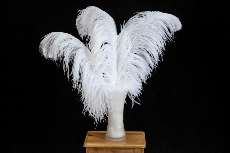 鸵鸟羽毛白色毛婚庆鸵鸟毛路引桌花婚礼装饰生日派对摆件 细杆25-30cm