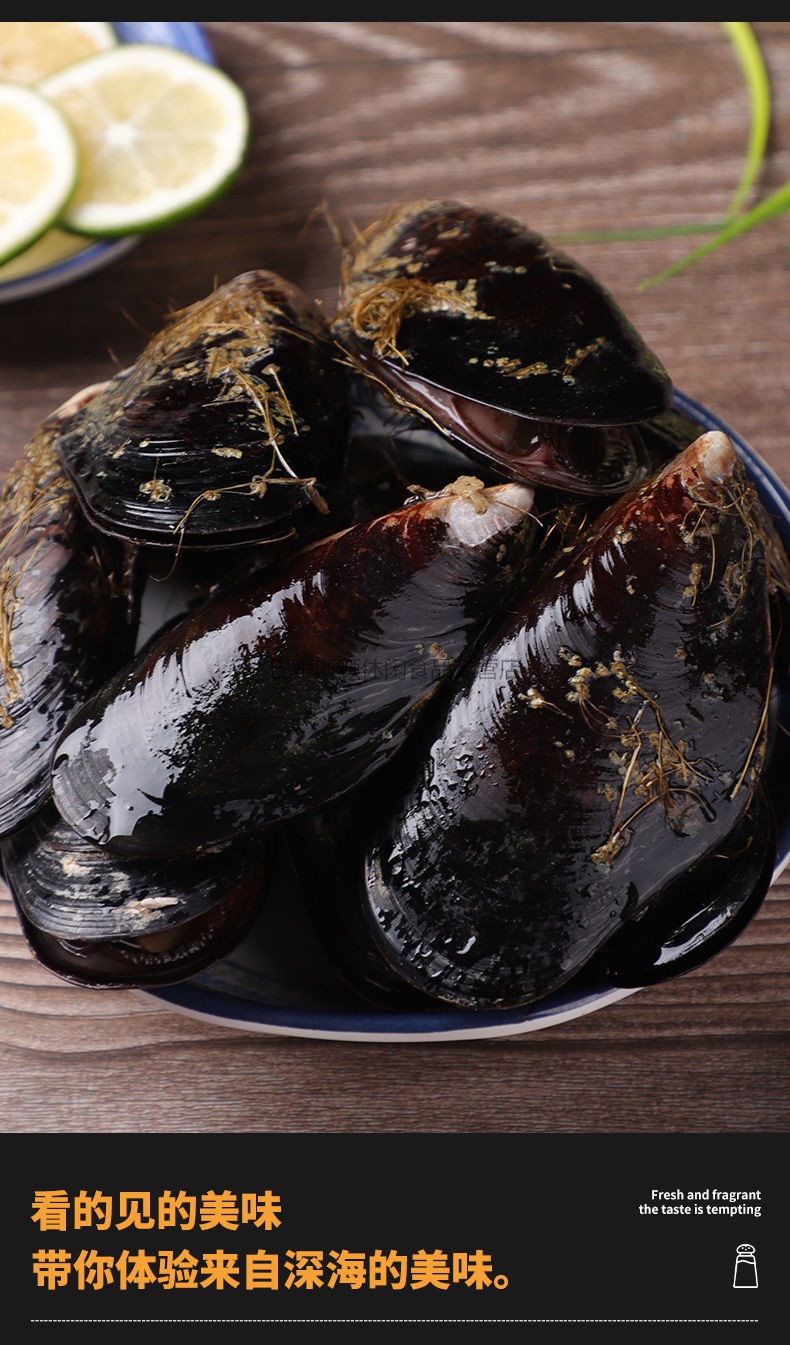 鲜活海虹大号青口贝现捕贻贝淡菜新鲜紫口贝类水产当天现捕大号一斤