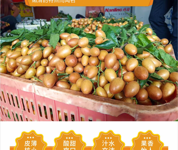 黄皮果 岭南佳果 养生佳果 当季水果酸甜 端午节送礼 3斤【图片 价格